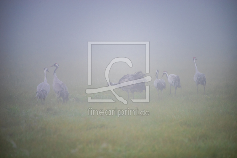 frei wählbarer Bildausschnitt für Ihr Bild auf Mousepad