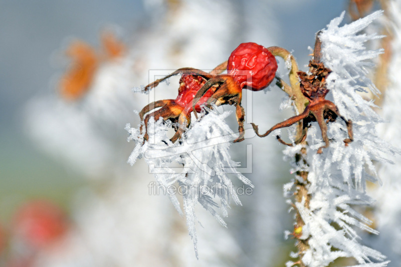frei w&auml;hlbarer Bildausschnitt f&uuml;r Ihr Bild auf Mousepad