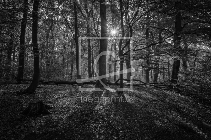 frei w&auml;hlbarer Bildausschnitt f&uuml;r Ihr Bild auf Mousepad