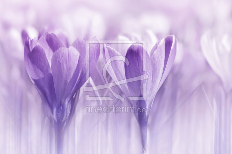 frei w&auml;hlbarer Bildausschnitt f&uuml;r Ihr Bild auf Mousepad