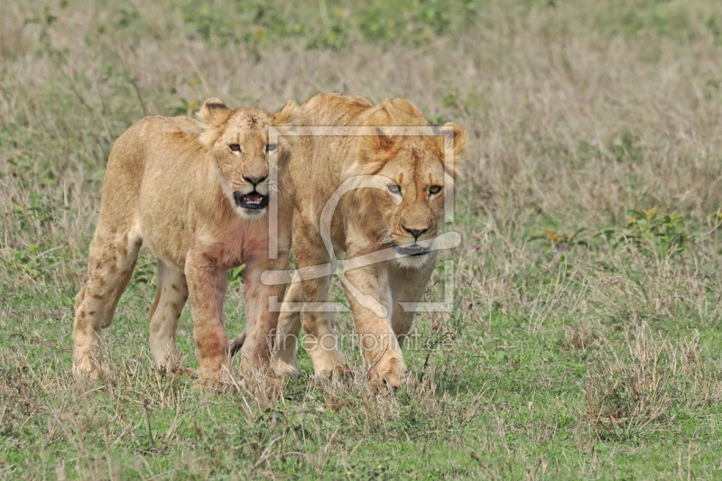 frei w&auml;hlbarer Bildausschnitt f&uuml;r Ihr Bild auf Mousepad