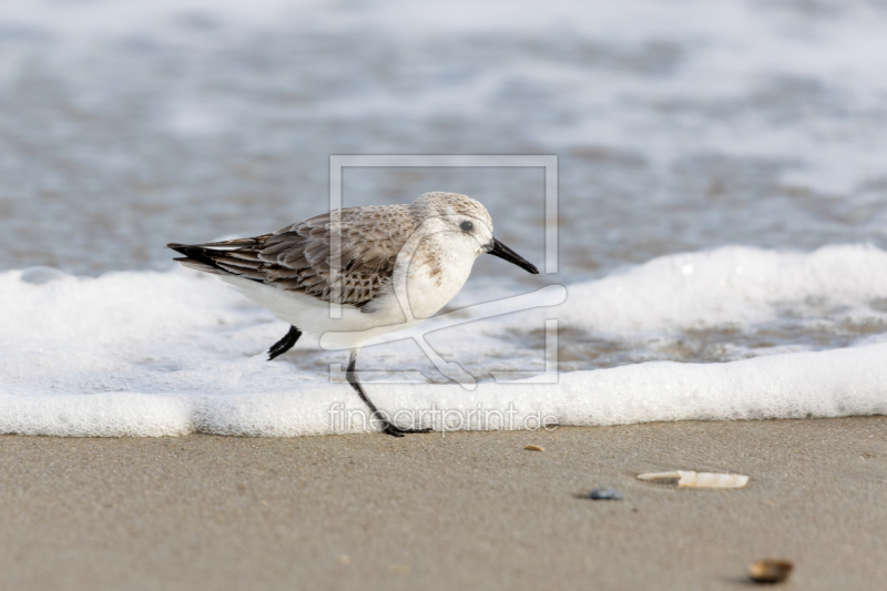 frei w&auml;hlbarer Bildausschnitt f&uuml;r Ihr Bild auf Mousepad
