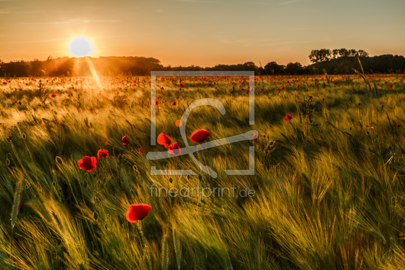 frei wählbarer Bildausschnitt für Ihr Bild auf Mousepad