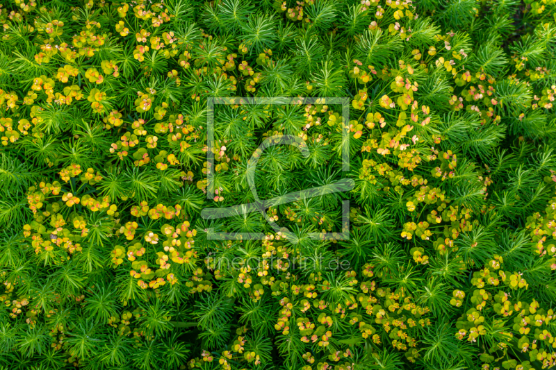 frei w&auml;hlbarer Bildausschnitt f&uuml;r Ihr Bild auf Mousepad