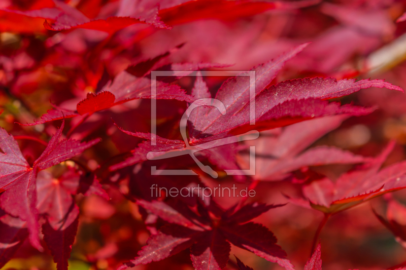 frei w&auml;hlbarer Bildausschnitt f&uuml;r Ihr Bild auf Mousepad