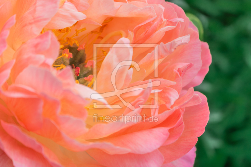 frei w&auml;hlbarer Bildausschnitt f&uuml;r Ihr Bild auf Mousepad