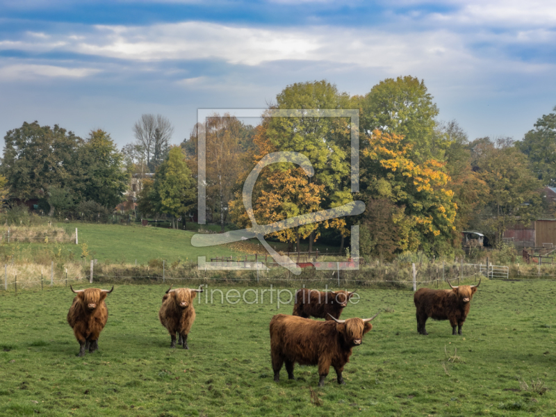 frei wählbarer Bildausschnitt für Ihr Bild auf Mousepad