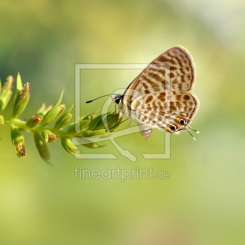 frei wählbarer Bildausschnitt für Ihr Bild auf Mousepad