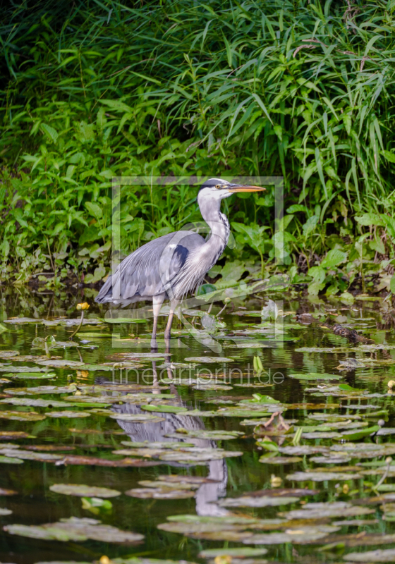 frei w&auml;hlbarer Bildausschnitt f&uuml;r Ihr Bild auf Mousepad