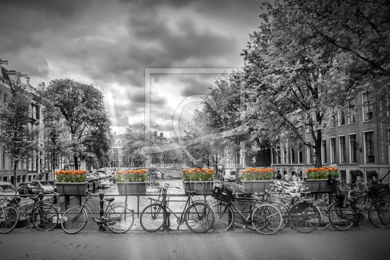 frei wählbarer Bildausschnitt für Ihr Bild auf Mousepad