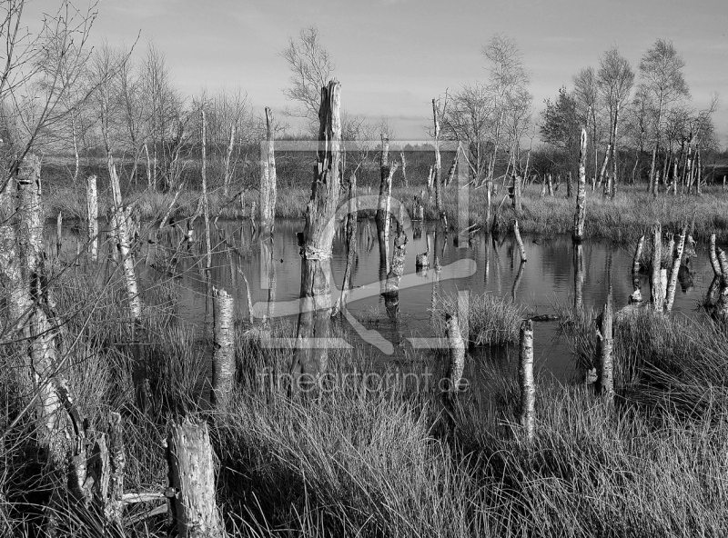 frei wählbarer Bildausschnitt für Ihr Bild auf Mousepad