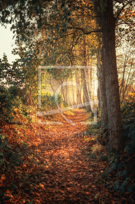 frei wählbarer Bildausschnitt für Ihr Bild auf Mousepad