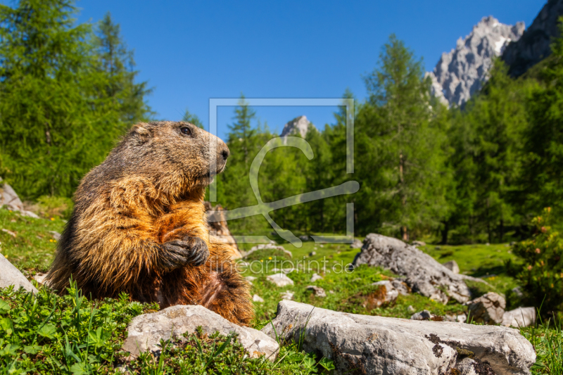frei wählbarer Bildausschnitt für Ihr Bild auf Mousepad