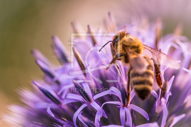 frei w&auml;hlbarer Bildausschnitt f&uuml;r Ihr Bild auf Mousepad