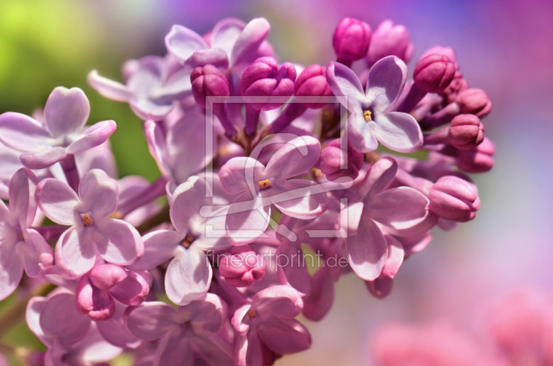 frei wählbarer Bildausschnitt für Ihr Bild auf Mousepad