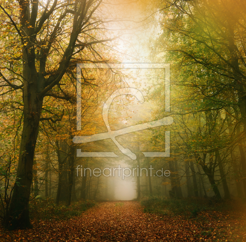 frei wählbarer Bildausschnitt für Ihr Bild auf Mousepad