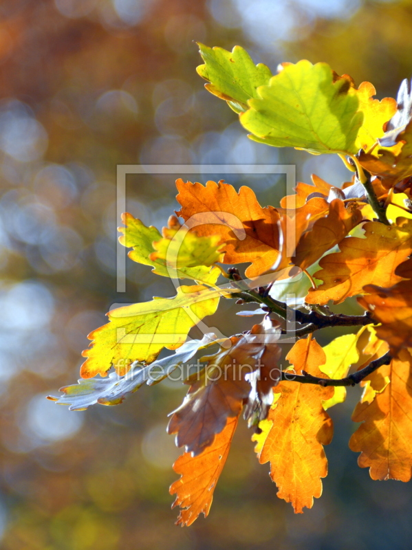 frei w&auml;hlbarer Bildausschnitt f&uuml;r Ihr Bild auf Mousepad