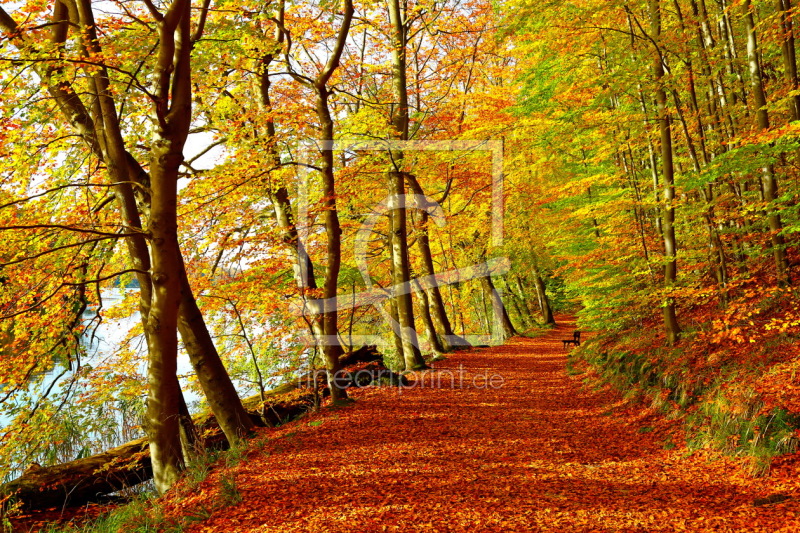 frei wählbarer Bildausschnitt für Ihr Bild auf Mousepad