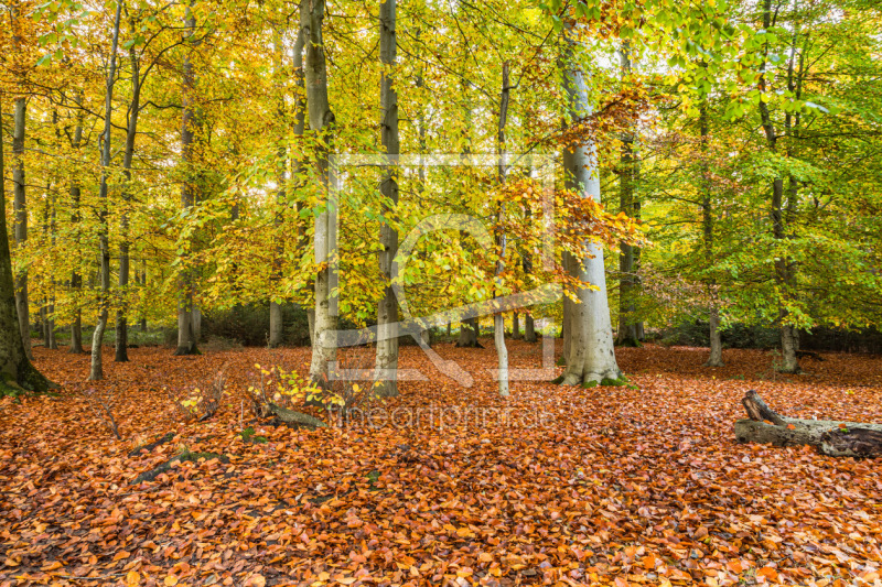 frei wählbarer Bildausschnitt für Ihr Bild auf Mousepad
