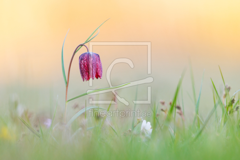 frei wählbarer Bildausschnitt für Ihr Bild auf Mousepad