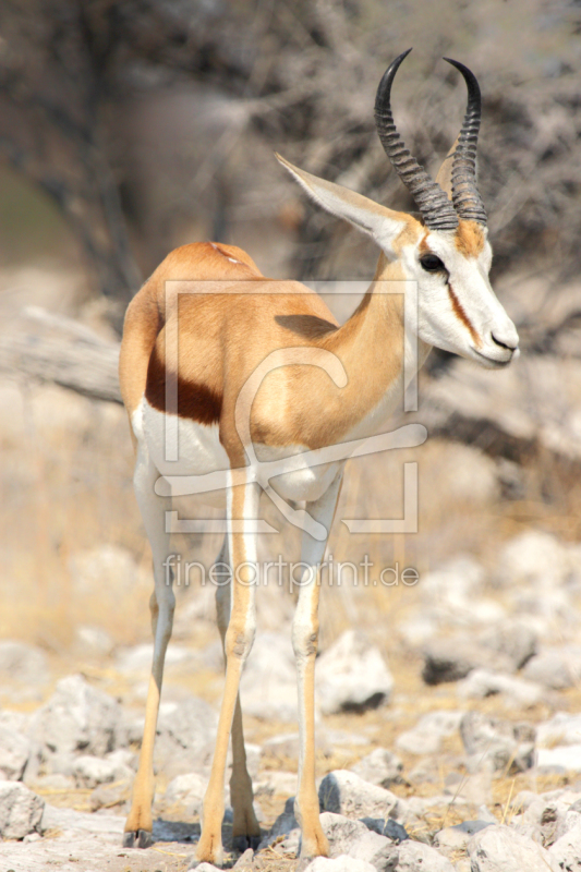 frei wählbarer Bildausschnitt für Ihr Bild auf Mousepad