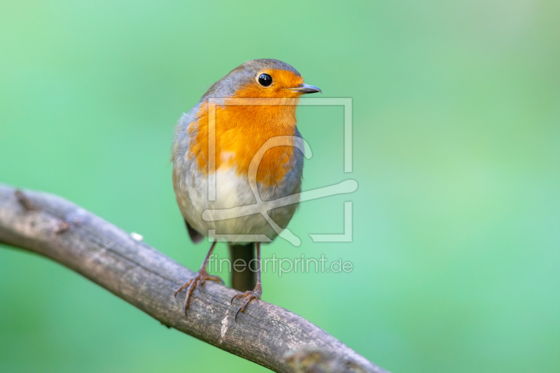 frei w&auml;hlbarer Bildausschnitt f&uuml;r Ihr Bild auf Mousepad