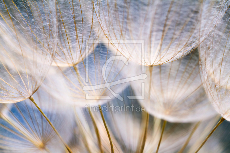 frei wählbarer Bildausschnitt für Ihr Bild auf Mousepad