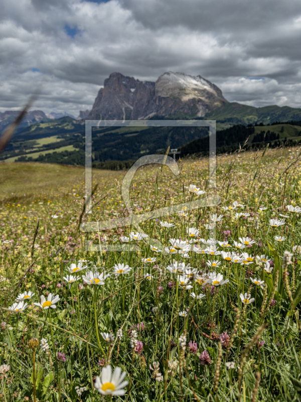 frei w&auml;hlbarer Bildausschnitt f&uuml;r Ihr Bild auf Mousepad