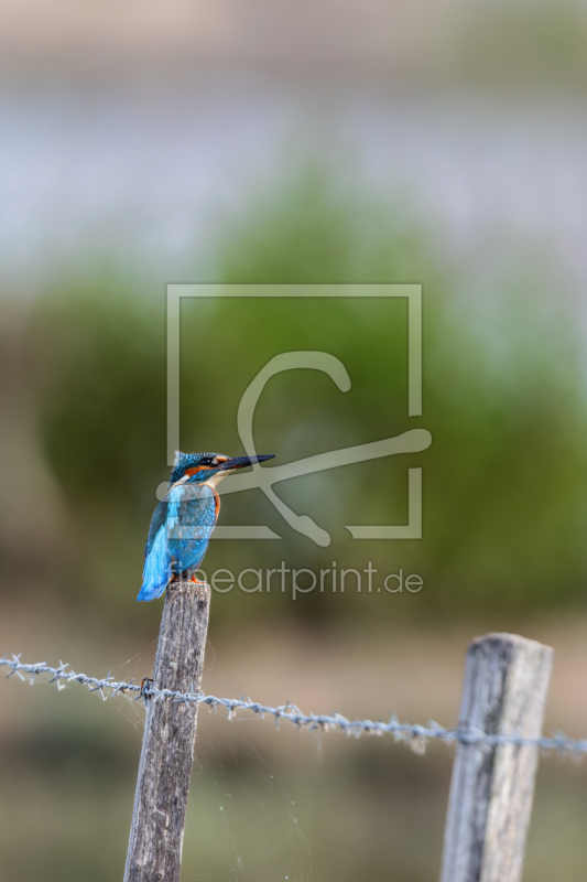 frei wählbarer Bildausschnitt für Ihr Bild auf Mousepad