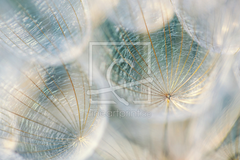 frei wählbarer Bildausschnitt für Ihr Bild auf Mousepad