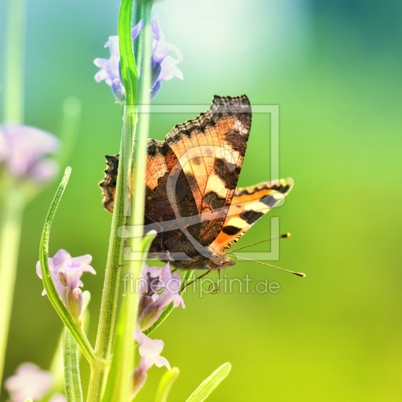 frei w&auml;hlbarer Bildausschnitt f&uuml;r Ihr Bild auf Mousepad