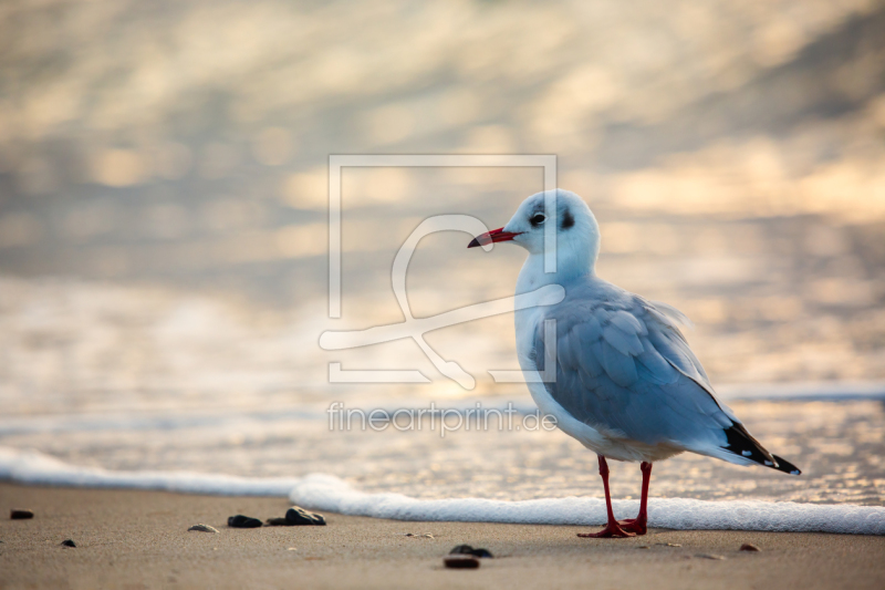 frei w&auml;hlbarer Bildausschnitt f&uuml;r Ihr Bild auf Mousepad