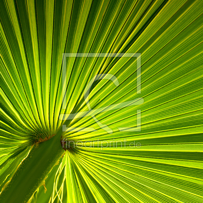 frei w&auml;hlbarer Bildausschnitt f&uuml;r Ihr Bild auf Mousepad