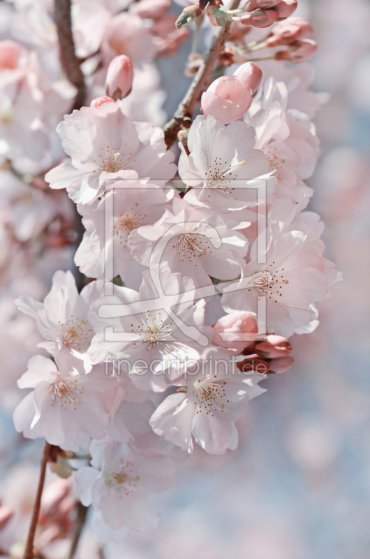 frei w&auml;hlbarer Bildausschnitt f&uuml;r Ihr Bild auf Mousepad