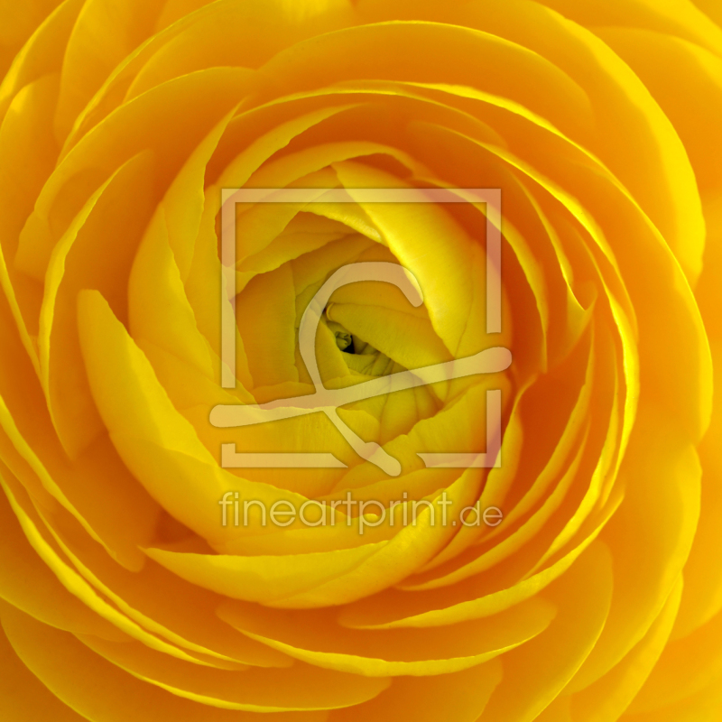 frei w&auml;hlbarer Bildausschnitt f&uuml;r Ihr Bild auf Mousepad