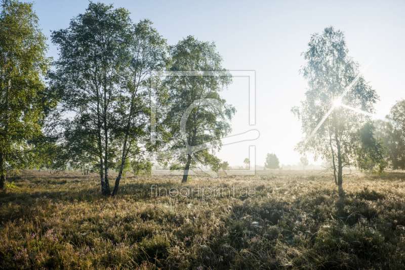 frei w&auml;hlbarer Bildausschnitt f&uuml;r Ihr Bild auf Mousepad