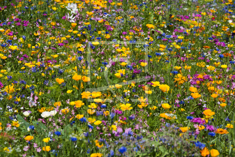 frei w&auml;hlbarer Bildausschnitt f&uuml;r Ihr Bild auf Mousepad