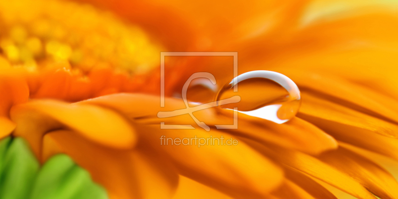 frei w&auml;hlbarer Bildausschnitt f&uuml;r Ihr Bild auf Mousepad