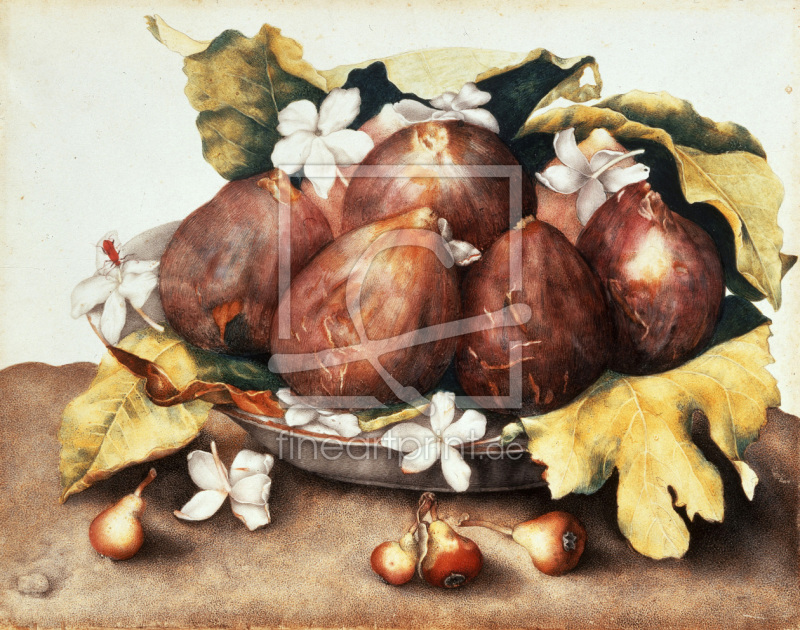 frei w&auml;hlbarer Bildausschnitt f&uuml;r Ihr Bild auf Mousepad