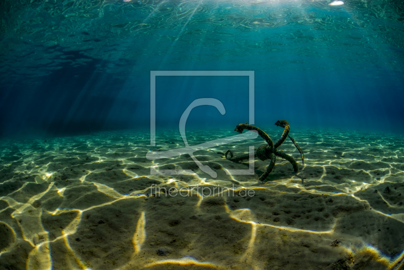 frei wählbarer Bildausschnitt für Ihr Bild auf Mousepad