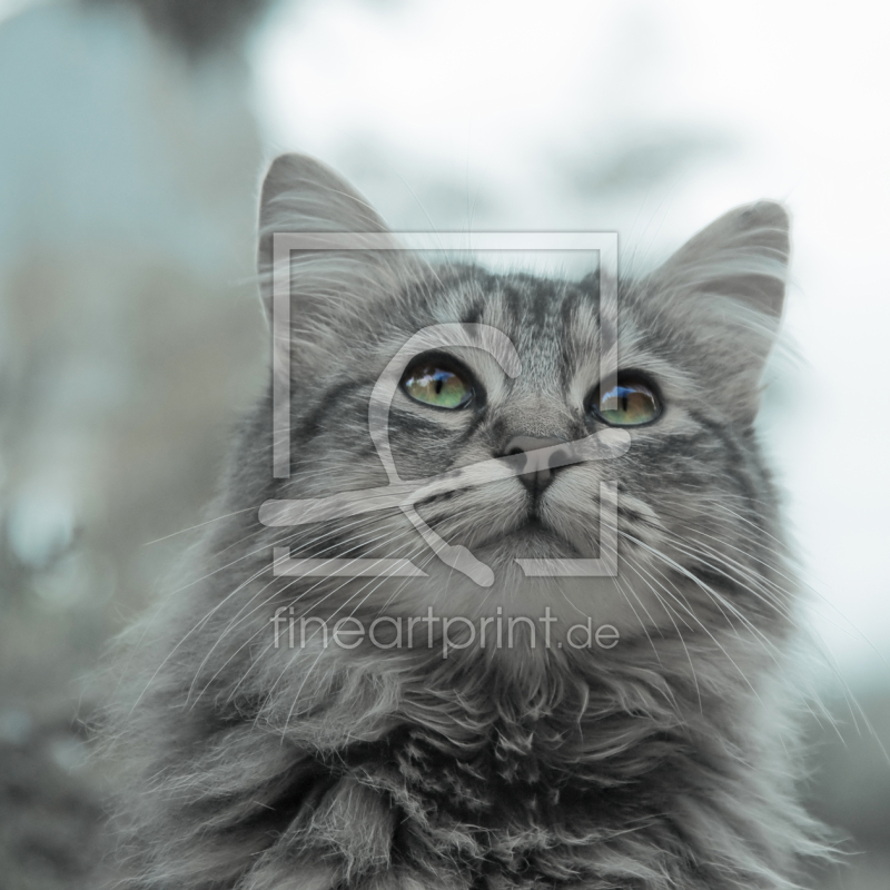 frei wählbarer Bildausschnitt für Ihr Bild auf Mousepad