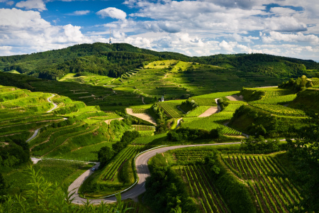 Bild-Nr: 10927569 Kaiserstuhl Frühlings Idylle Erstellt von: Andreas Andreas Wonisch