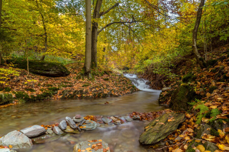 Bild-Nr: 11251530 Wildbach II Erstellt von: HeschFoto