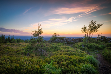 Bild-Nr: 11922715 Untergwegs im Harz Erstellt von: Steffen Henze