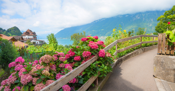 Bild-Nr: 12742027 Uferweg Iseltwald am Brienzersee Erstellt von: SusaZoom