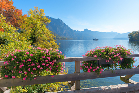 Bild-Nr: 12840867 Traunseeblick Ort-Brücke Erstellt von: SusaZoom