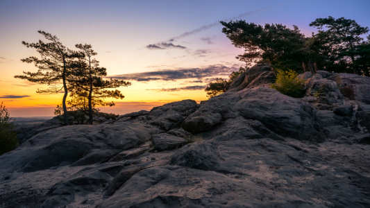 Bild-Nr: 12841434 Steine an der Teufelsmauer  Erstellt von: Steffen Henze