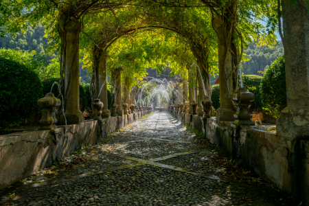 Bild-Nr: 12862245 Wassersile im botanischen Garten auf Mallorca Erstellt von: volker heide