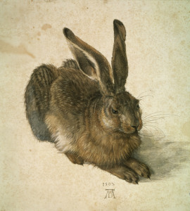 Bild-Nr: 30002990 Young Hare / Duerer / 1502 Erstellt von: Dürer, Albrecht