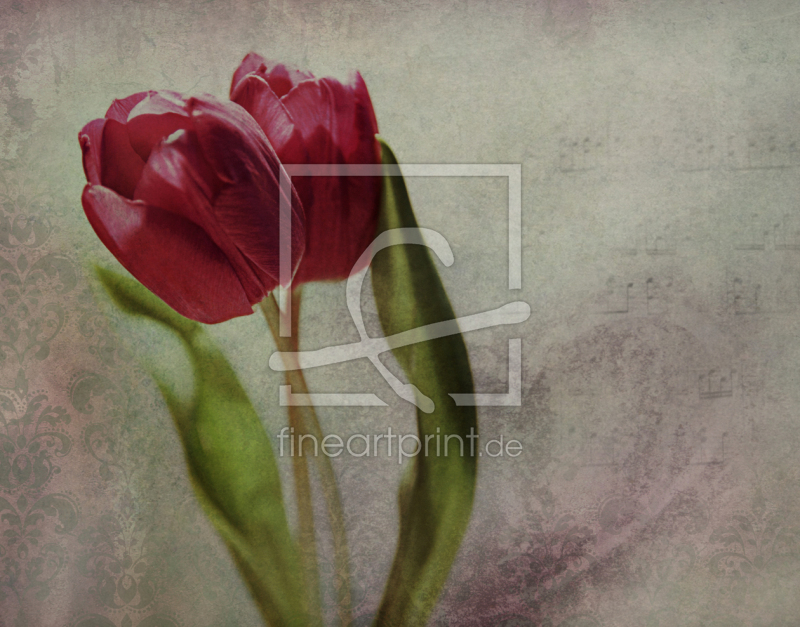 frei wählbarer Bildausschnitt für Ihr Bild auf Papier